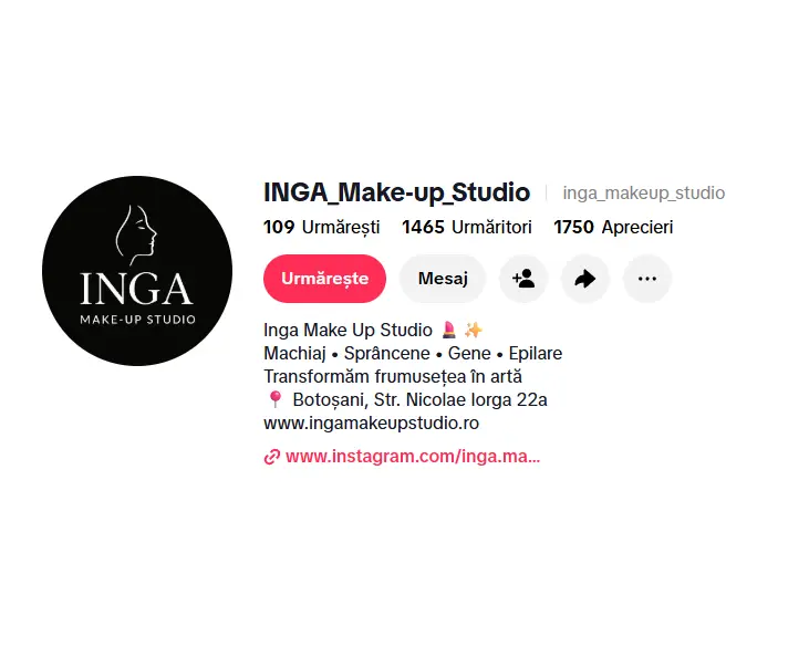 Profilul de TikTok Inga Make-up Studio — 1.465 de urmăritori